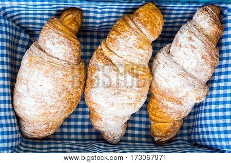 Delicious crispy croissants in bread basket. Studio Photo