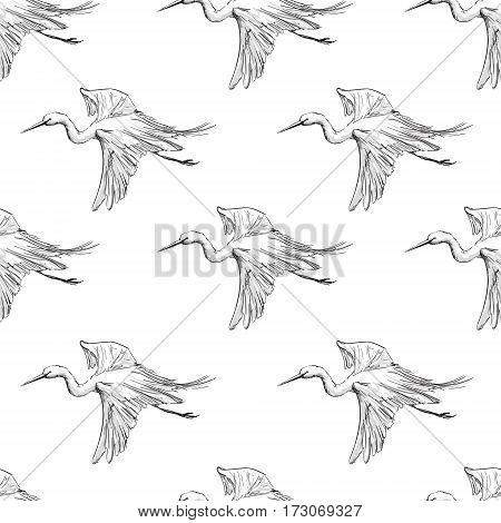 background seamless pattern Heron, bird sketch pattern