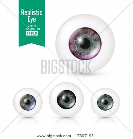 Human Eyeballs Set With Big Irises In Colour. Vector Illustration Of 3d Glossy Detailed Eye With Shadow And Reflection. Cornea. Front View. Isolated On White Background.