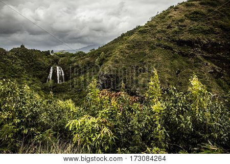 Hawaiian Waterfall