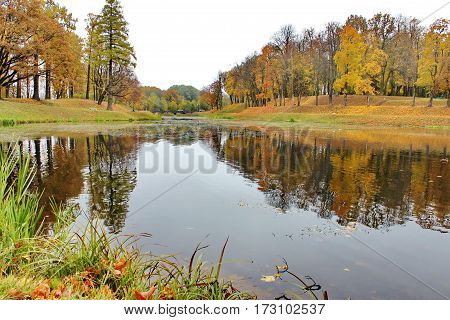 Beautiful romantic alley in a park with colorful trees and sunlight. autumn natural background Gatchina
