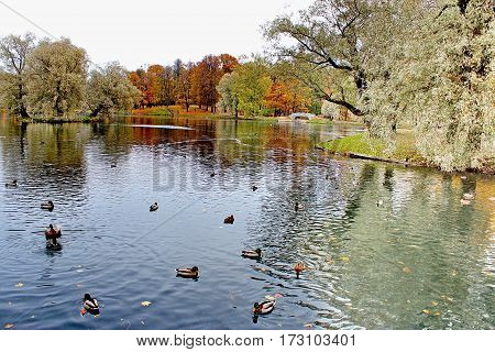 Beautiful romantic alley in a park with colorful trees and sunlight. autumn natural background Gatchina