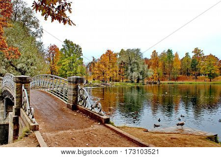 Beautiful romantic alley in a park with colorful trees and sunlight. autumn natural background Gatchina