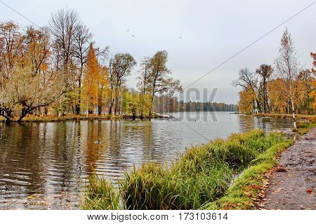 Beautiful romantic alley in a park with colorful trees and sunlight. autumn natural background Gatchina