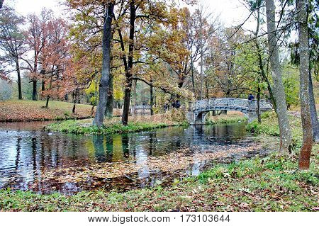 Beautiful romantic alley in a park with colorful trees and sunlight. autumn natural background Gatchina