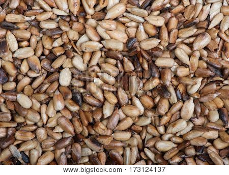 Overcooked peeled sunflower seeds background