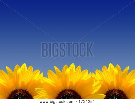 Senteurs du printemps