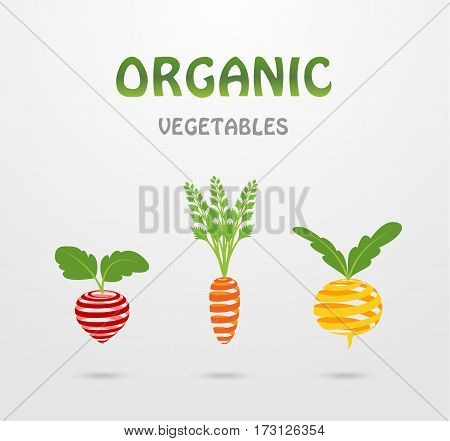 Stylized ribbons organic vegetables: radish, carrots, turnips