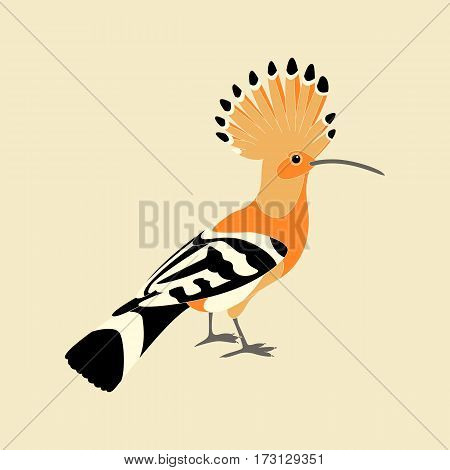 hoopoe vector illustration style Flat side profile
