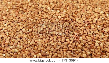 Dried Brown Buckwheat Groats Close Up Background