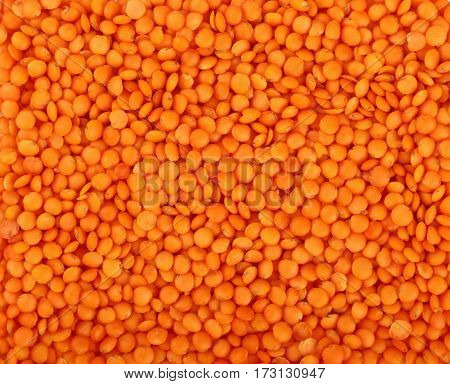 Orange Lentil Lens Close Up Background