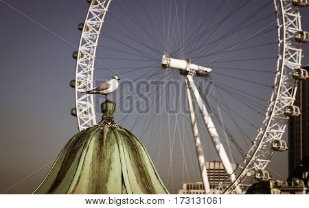 LONDON, UK - JANUARY 26, 2017: The EDF Energy London Eye next to the river Thames, UK