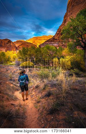 Hiker In Coyote Gulch Escalante Fall Colors