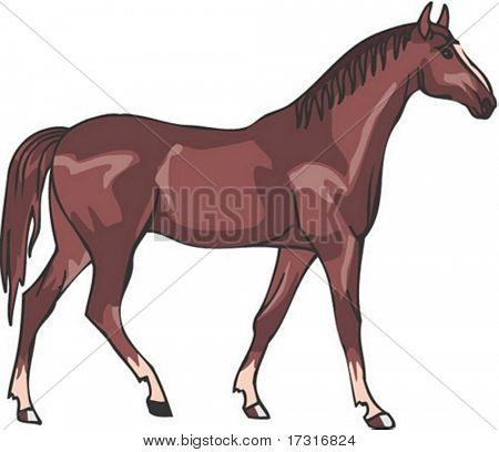 Carattere cavallo