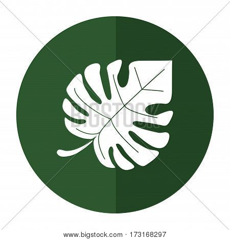 monstera tropicalplant shadow vector illustration eps 10