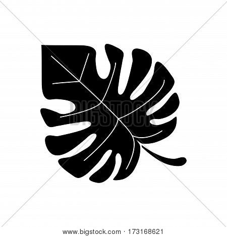 monstera tropicalplant pictogram vector illustration eps 10