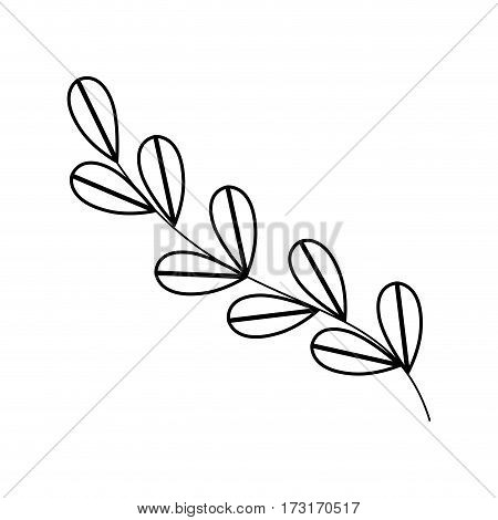 monochrome contour with oval leaves with ramifications vector illustration