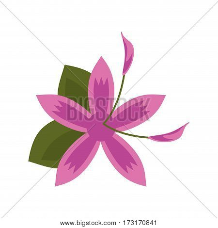 flower daylily beautiful flora vector illustration eps 10