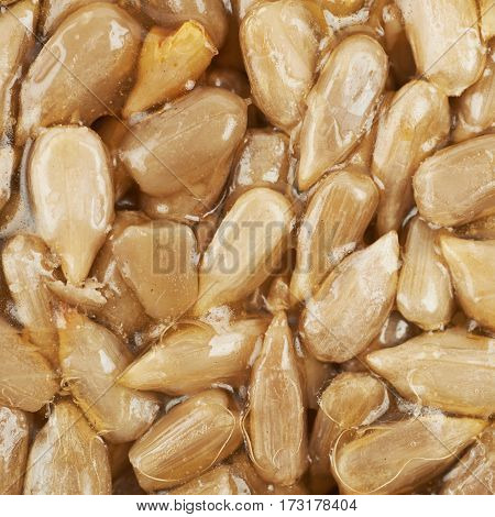 Close-up fragment of a gozinaki confection sweets as a backdrop composition texture