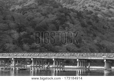 Black and White Togetsukyo wooden bridge pass through Arashiyama forest Japan