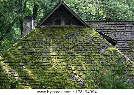 Roof With Vegetation