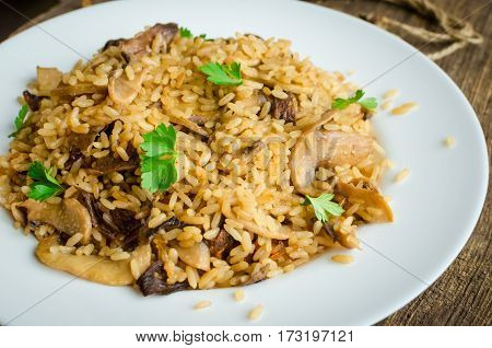 Homemade traditional Italian mushroom risotto on wooden table. Classic Risotto with mushrooms and vegetables served on a white plate. Wild mushrooms risotto with parsley.