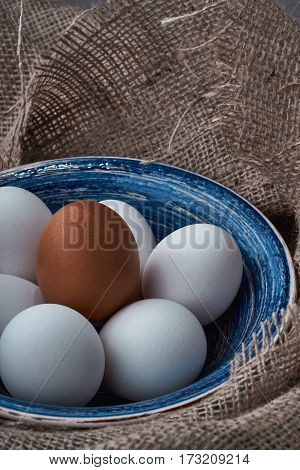 Ecological natural fresh eggs collected in the plate for cooking