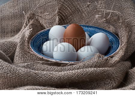Ecological natural fresh eggs collected in the plate for cooking
