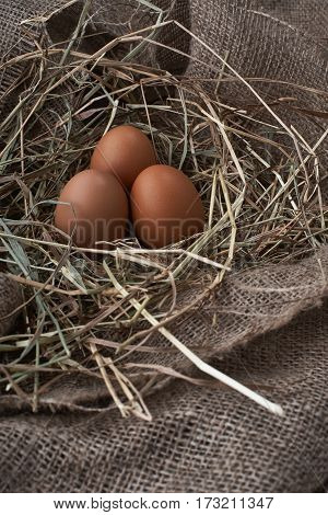 Ecological natural fresh bird eggs in a nest born on fabric
