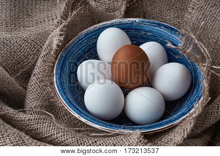 Ecological natural fresh eggs collected in the plate for cooking