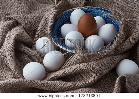 Ecological natural fresh eggs collected in the plate for cooking