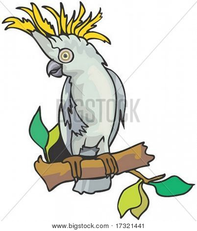 Animal Character