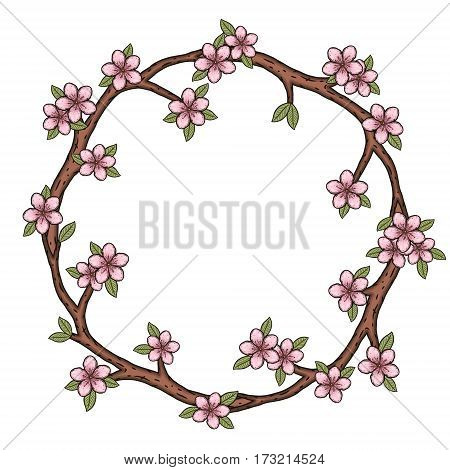 The wreath of cherry blossom branches. Sakura flowers