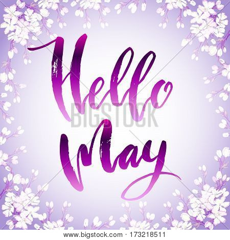 Calligraphy quote hello may. Hand drawn blossom cherry branches. Handwritten lettering quote, sakura floral border frame on pink watercolor background Vector illustration stock vector.