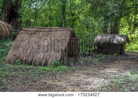 Typical house of vedda people living in Sri Lanka