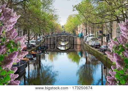 row of bridges over canal with mirror reflections in water, Amstardam, Netherlands with lilac flowers