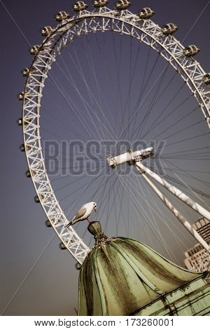 LONDON, UK - JANUARY 26, 2017: The EDF Energy London Eye next to the river Thames, UK