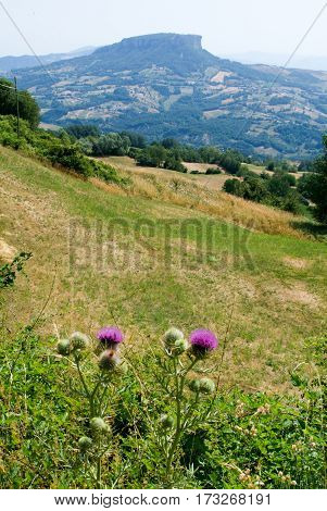 Apennines valley at Emilia Romagna on Italy
