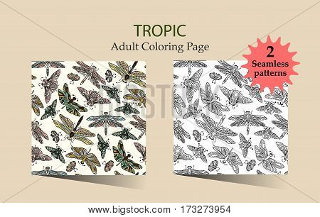 Seamless vector hand drawn pattern with fantasy butterflies, dragonflies, beetles, bugs and mothes in modern style. Beautiful botany illustration.
