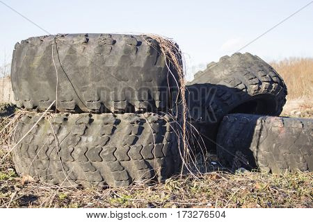 old tire of big tractor, big tractor tire, wheel tractor.