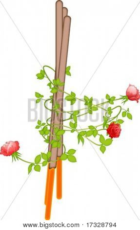 Spezielle Pepero Day