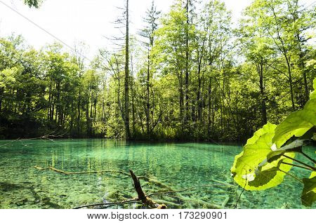 landscape of plitvicka lake national park at sunset unesco heritage site plitvice croatia.