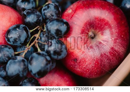 Autumnal Composition Of Red Apples And Dark Blue Grape