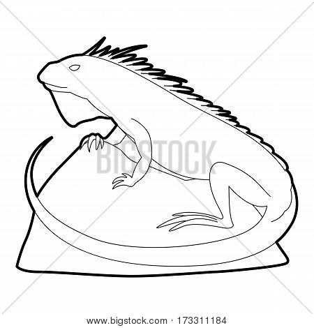 Varan icon. Outline illustration of varan vector icon for web