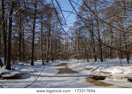St. Petersburg, Sestroretsk -26.02.2017: Sestroretsk, the Gulf of Finland in winter