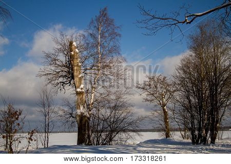St. Petersburg, Sestroretsk -26.02.2017: Sestroretsk, the Gulf of Finland in winter