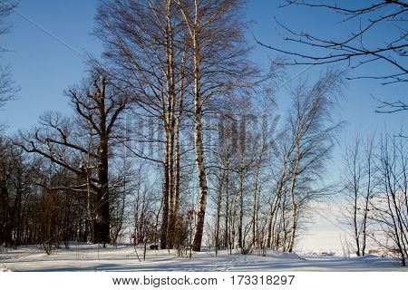 St. Petersburg, Sestroretsk -26.02.2017: Sestroretsk, the Gulf of Finland in winter