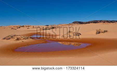 Perfect reflection of sand dunes in calm water. Coral Pink Sand Dunes State Park. Kanab. Cedar City. Utah. United States.