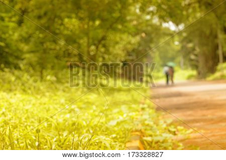 Romantic couple walking and faded away in nature conceptual stock image Kolkata West Bengal India