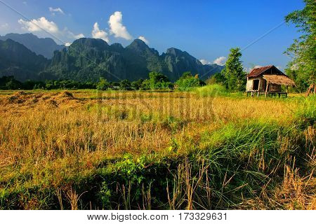 Farmer's Hut On A Field In Vang Vieng, Vientien Province, Laos